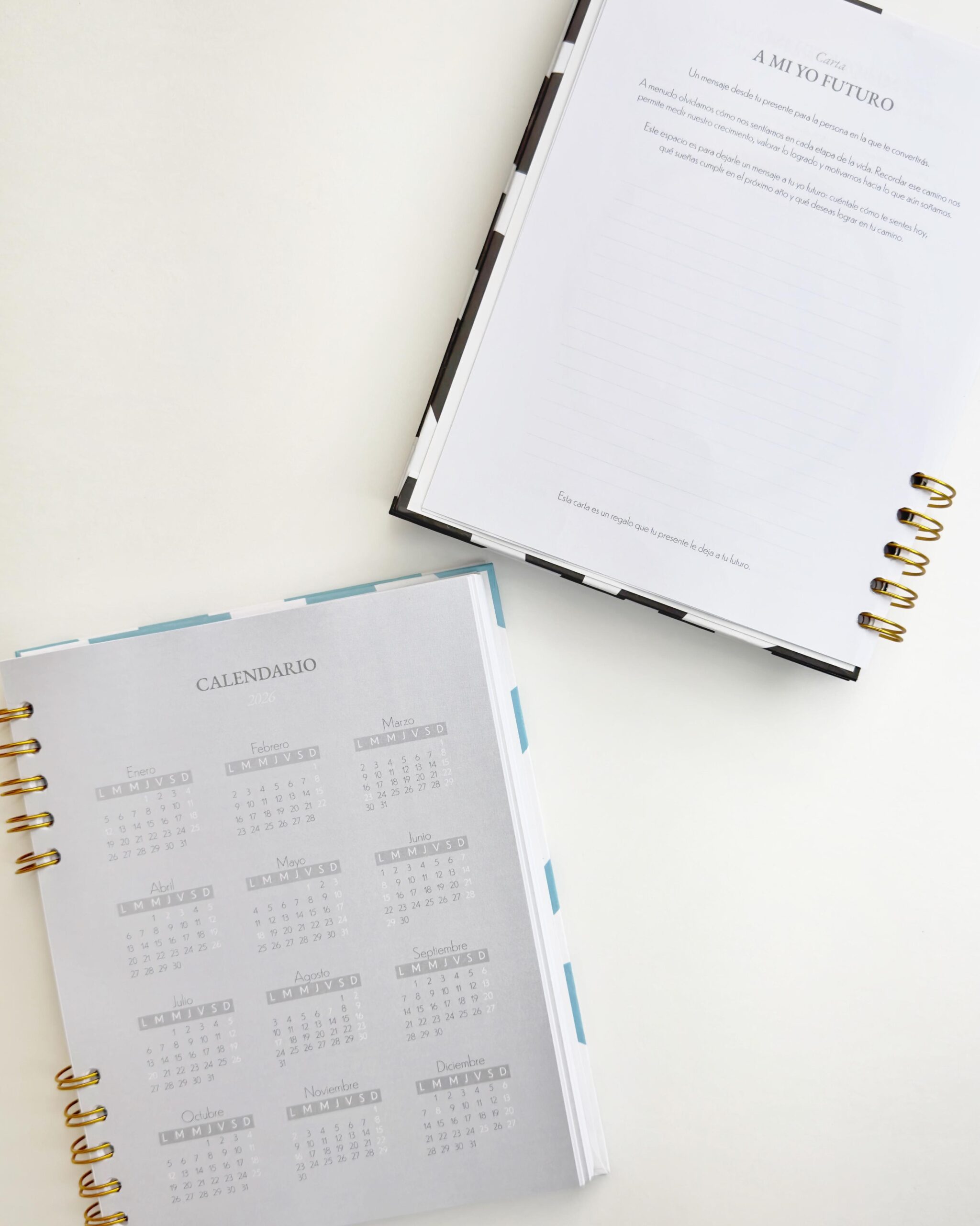 AgendaPersonalizada2 Agenda Personalizada