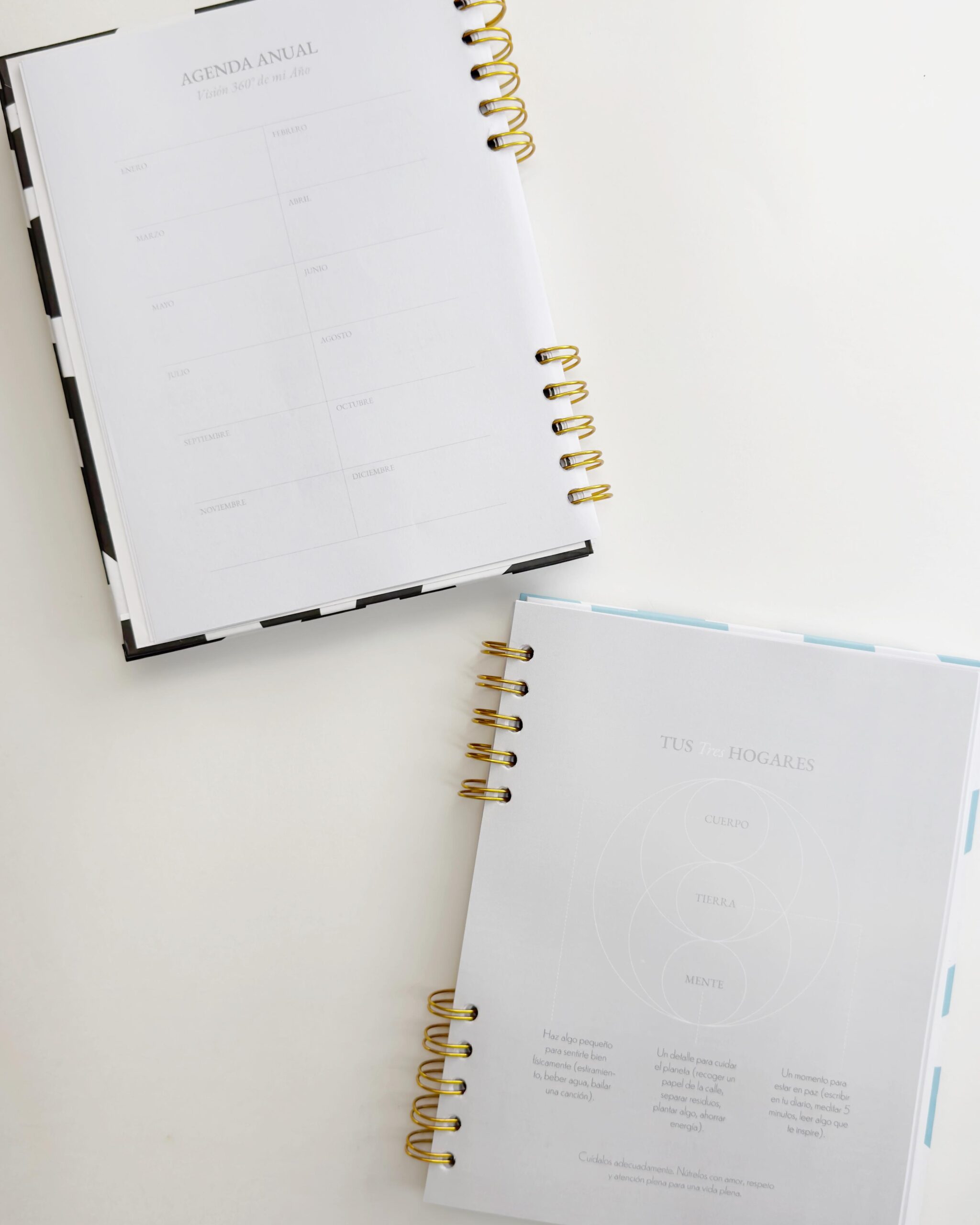 AgendaPersonalizada3