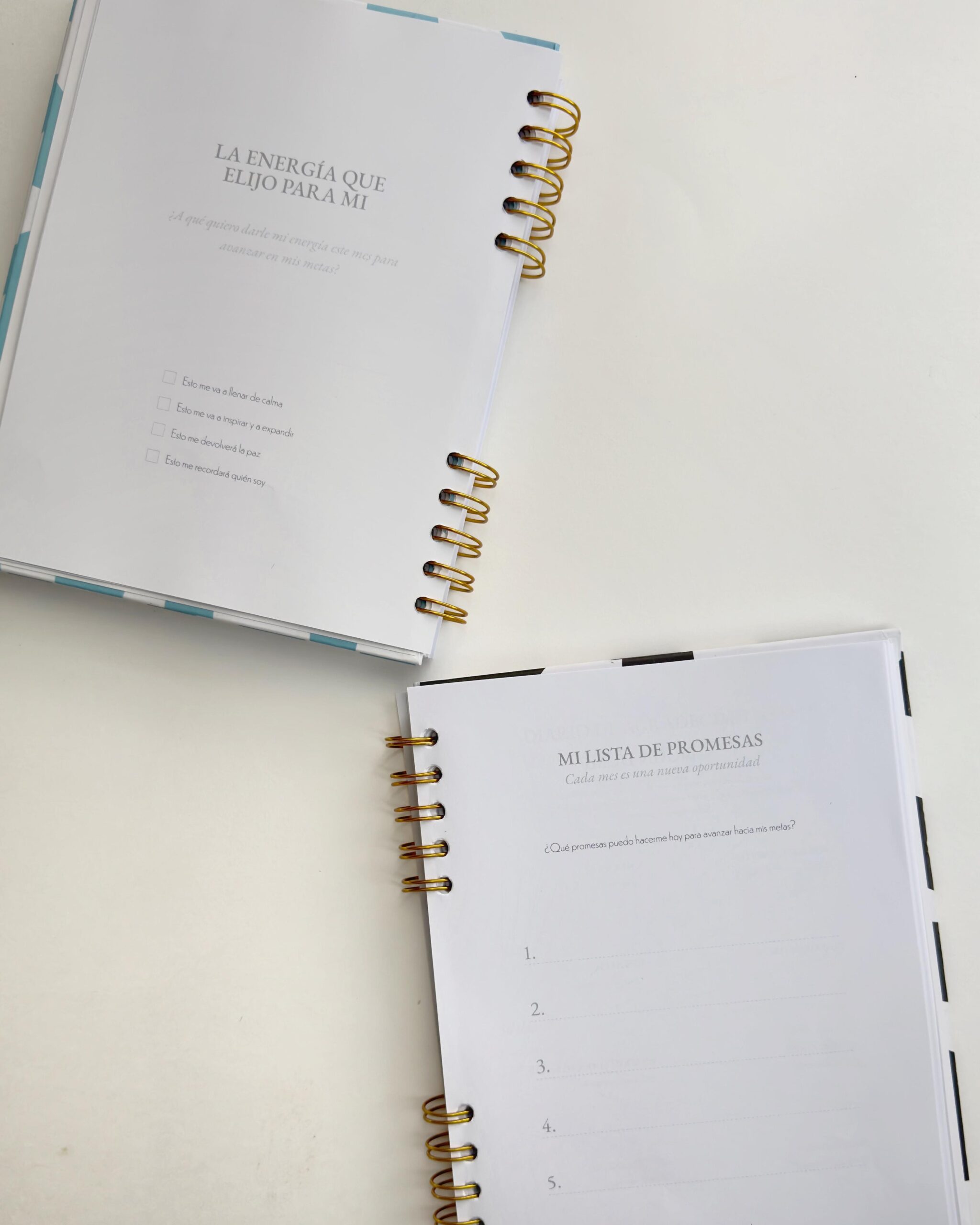 AgendaPersonalizada4