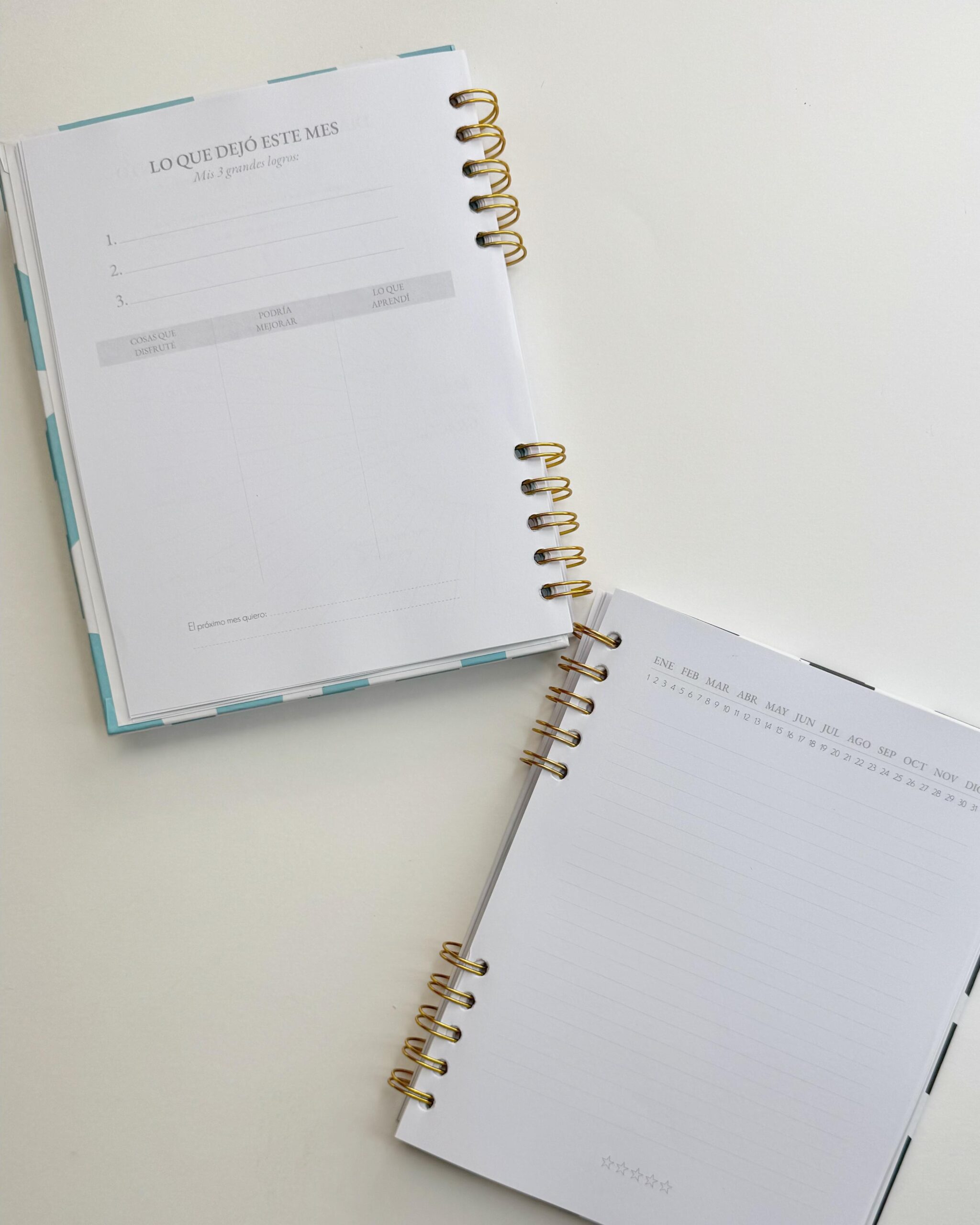 AgendaPersonalizada6